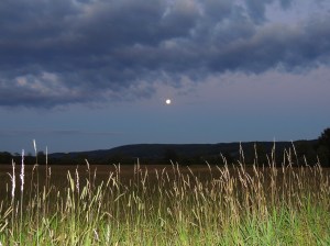 blue moon rise Jul 30, 2015
