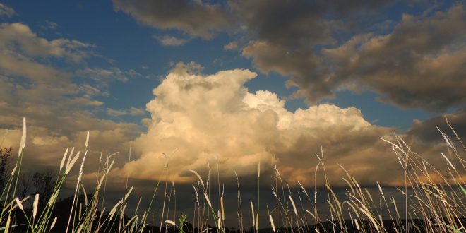Night portrait cumulus cloud in the east Aug 14, 2015 by Patti Witten