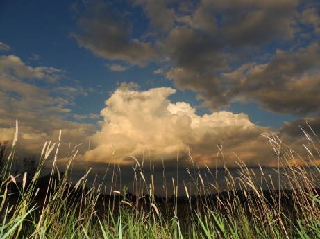 Night portrait cumulus cloud in the east Aug 14, 2015
